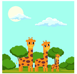 Obraz premium A vector illustration of a family of giraffes in savannah