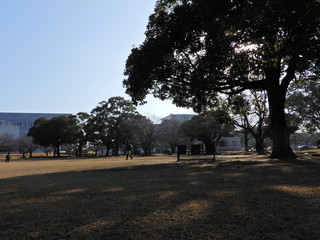 公園