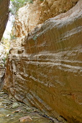 Avakas Gorge (Cyprus)