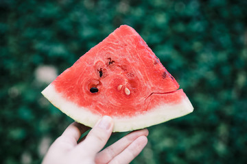 Watermelon slices