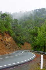 Paphos Forest (Cyprus)