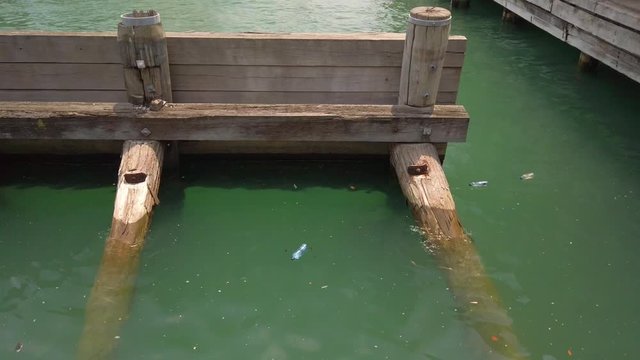 Floating empty water bottles at Sydney Harbour. Mild environmental pollution on the beach - Sea Pollution. 4K video footage.