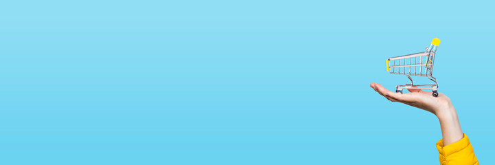 opping basket in female hands on a blue background. Banner. Concept of purchase, shopping, online...