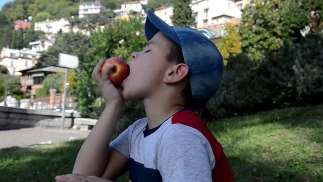 Child kid eating apple fruit outdoor spring or summer or autumn fall nature healthy outdoors picnic