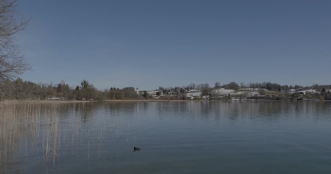 Gmund am Tegernsee. Blick auf das malerisch Wasserlandschaft mit Schilfrohrg&uuml;rtel und ruhige wasser des Natur- und Schutzgebiet am Nordufer des Tegernsees in Oberbayern 