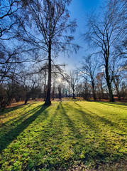 Obraz premium Słoneczny dzień w jesiennym parku