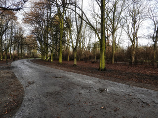 Obraz premium Słoneczny dzień w jesiennym parku