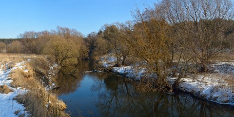 Walking through the forest, beautiful panorama.