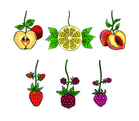 Vector fruit set, berries, Apple, Lemon, Peach collection