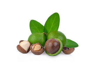 macadamia nuts with leaf isolated on white background.