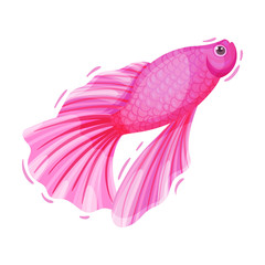 Pink Fish Isolated on White Background Vector Illustration