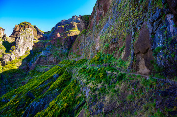 Fototapety na wymiar - Fototapeta24.pl