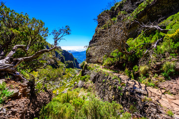 Beautiful hiking trail from Pico do Arieiro to Pico Ruivo, Madeira island. Footpath PR1 - Vereda do Areeiro. On summy summer day above the clouds. Portugal.