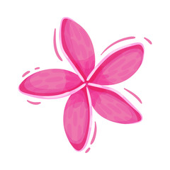 Pink Flower Decorative Vector Element Isolated on White Background