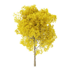 Tree on a white background. Tree with yellow foliage. Clipping path included. 3D rendering.