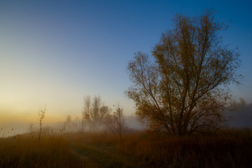 Obraz na płótnie Canvas autumn misty morning landscape
