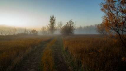 Fototapeta na wymiar autumn misty morning landscape