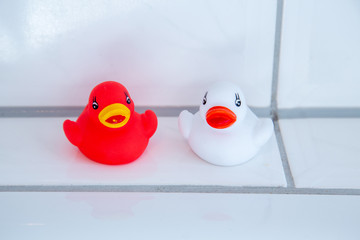 Gummi Enten und Krokodil, Seestern und Tintenfisch im Badezimmer