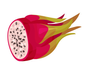 Halved Pitaya or Dragon Fruit Covered with Leathery Leafy Skin Vector Illustration