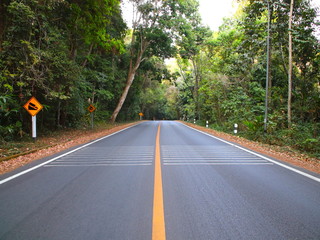 Fototapeta premium Empty Road with an endless yellow line in the mountains of Chiangmai Thailand surrounded by dense forests