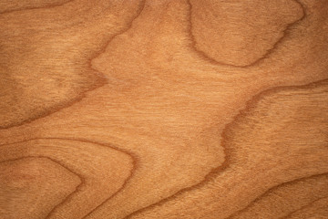 Cherry wood natural texture. Cherry wood texture background. Texture element. Background element.