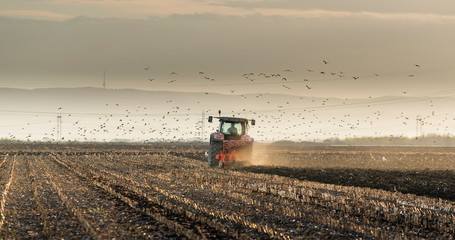 Tractor plowing fields in sunset