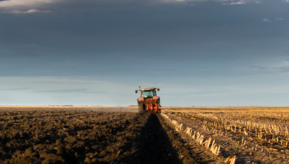 Fototapeta premium Tractor plowing fields in sunset