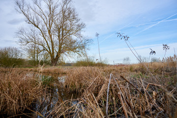 Obraz premium Étangs