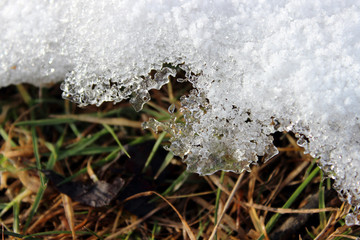Closeup photo of melting snow
