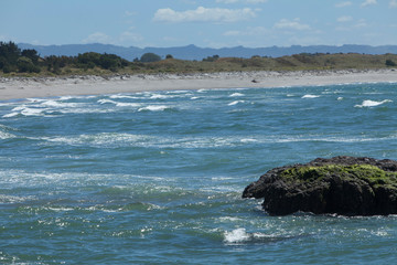 Fototapeta na wymiar Coast Whatakane Whakaari / White Island New Zealand 