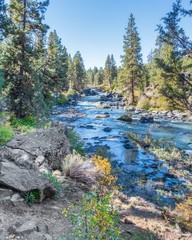 Deschutes River surrounded with forests during daytime