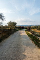 The surroundings of the town of Sant Mateu
