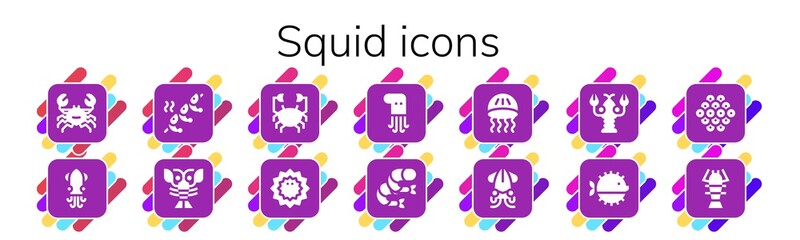 squid icon set