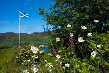 The Flag of Scotland