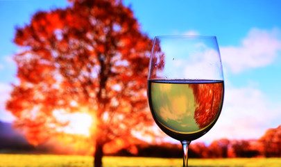 Reflection of autumn sunny landscape in a glass with wine against the backdrop of a colorful canopy tree in the sunlight. rest in the autumn park.