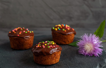Pumpkin muffins pour chocolate ganache, decorate with colored pastries