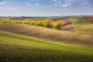 Fototapeta na wymiar Beautiful colorful autumn landscape with curved fields and blue sky in south moravia