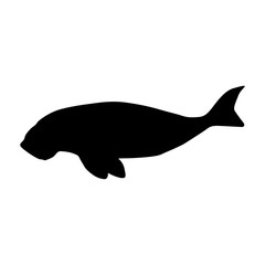 Dugong (Dugon Dugon) Silhouette Vector Found In Indonesian And Australia