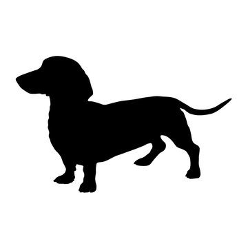 Dachshund Dog Silhouette Vector Found In Map Of Europe