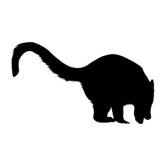 Coati (Nasua Nasua) Silhouette Vector Found In Map Of South America