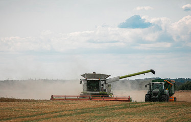 Fototapeta na wymiar Cosechando grano en una cosechadora de campo