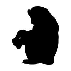 Chimpanzee (Pan Troglodytes) Silhouette Vector Found In Map Of Africa