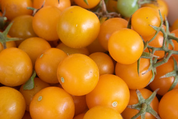 yellow tomatoes