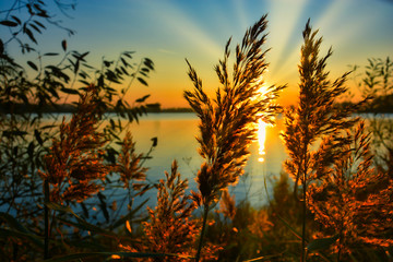 Abendrot,Sonne,Hintergrund,Landschaft