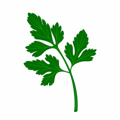 Leaf parsley in the style of flat.
