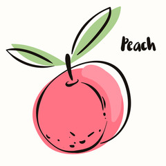 Peach in hand drawn style. Vector design element isolated on the white background. Colorful vector icon.  Fruit decor.   Vegetarian and vegan food in isolated modern design. 