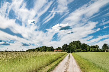 Fototapeta na wymiar Road to a farm. Beautiful summer village landscape