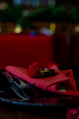 vertical close-up photo of a plate served for a gala dinner