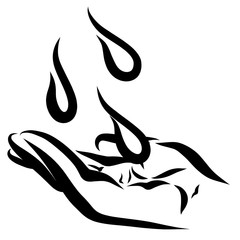 drops of water falling on a female palm