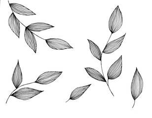  graphic drawing leaves hatching, vector, set